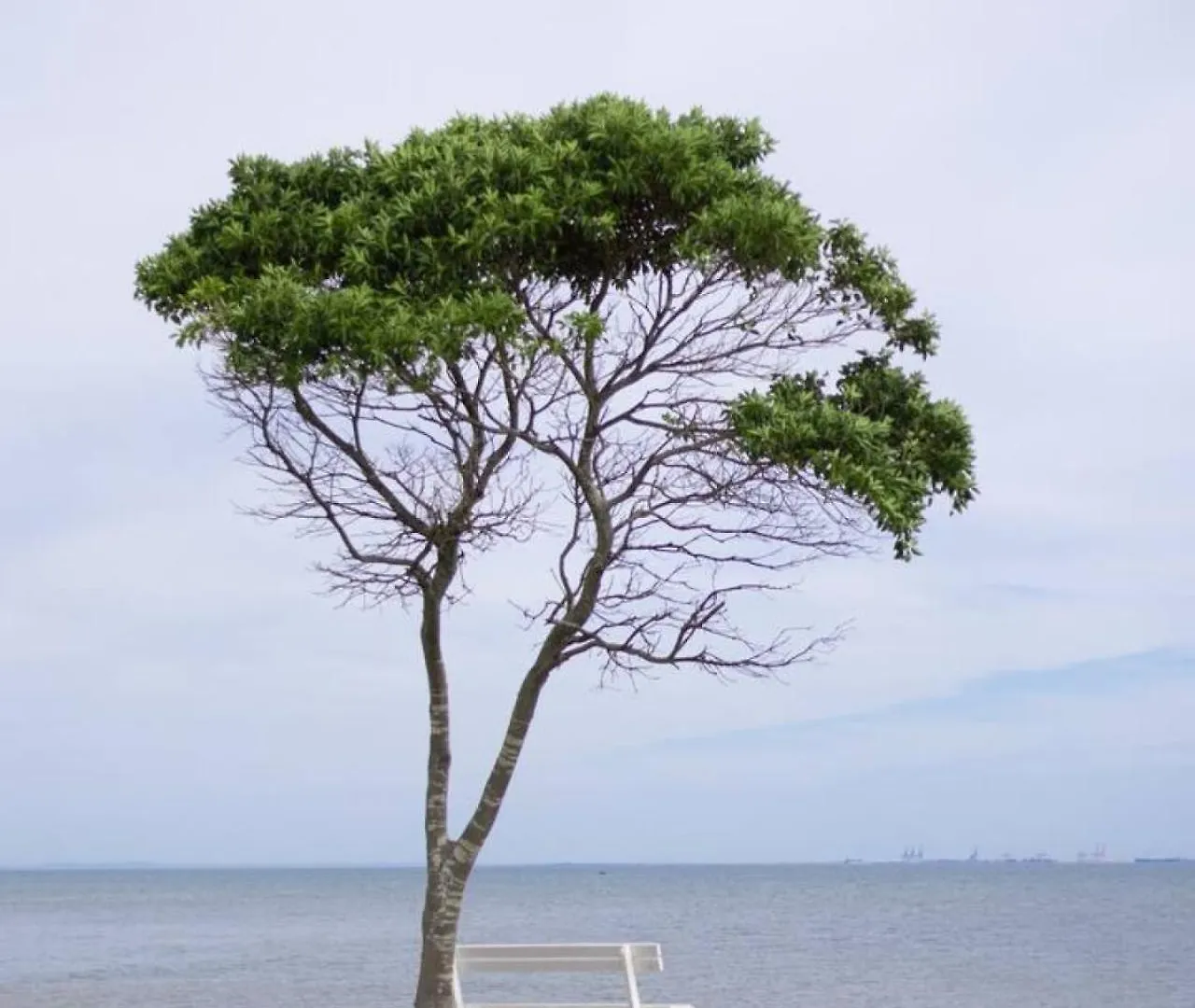 Beach Front Holiday Home With Pool, Prime Location Clontarf